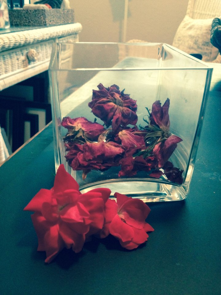 13603530_1069806756429227_5336528741262274900_o