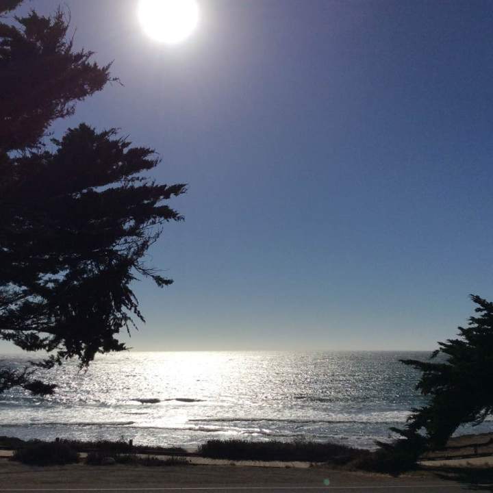 14591637_1143062785770290_6157788501997817944_n