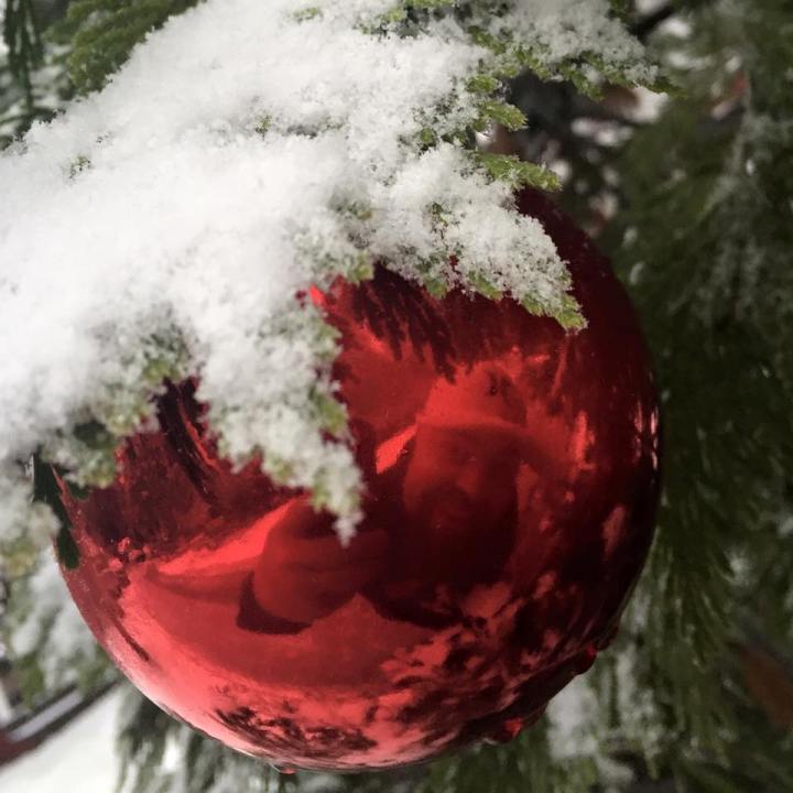 12391943_1084621818229193_799228171024110384_n (1)