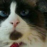 30443239_1696398040436759_3824989984239124480_n